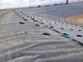 Clean-Harbors-WMU-35-2023-Buttonwillow-CA-c
