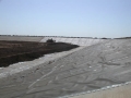 Del Webb Ponds