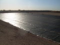 Del Webb WTP Pond