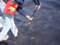 Spark Testing Conductive Liner