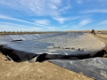 Yolo-Landfill-Stormwater-Pond-2022-Woodland-CA-b